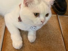-彳亍咖啡·这里(水湾路店)
