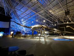 -世界恐龙谷景区