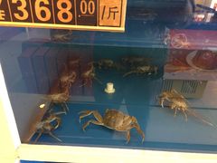 -蟹都汇(旗舰店)