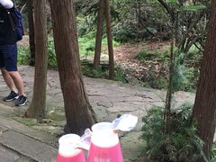 -木兰云雾山