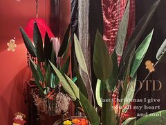 -花马天堂云南餐厅 Lost Heaven(外滩店)