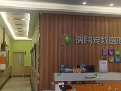-瑞鹏宠物医院·骨科·猫科·内科(第一中心)