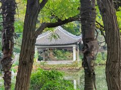 -叶家花园