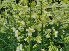 -中国天府农业博览园