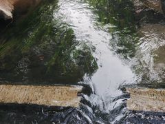-趵突泉景区