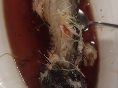 -金狮麟·新豫菜(金码大厦店)