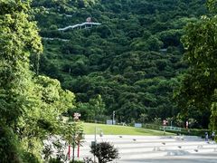 -阳台山森林公园