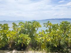 -佳丽海鲜大酒楼(环岛海景店)