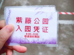 -嘉定紫藤园