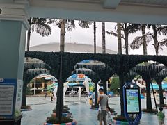 -海合安成都极地海洋公园
