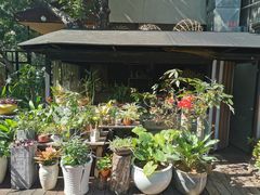 -T館·花园艺术餐厅