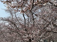 -苏州上方山国家森林公园