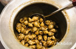 Taiwanese Pepper Snail