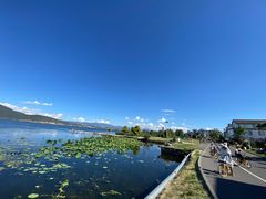 -洱海月湿地公园