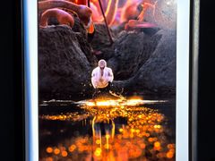 -罗红摄影艺术馆