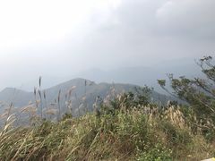 -银瓶嘴森林公园
