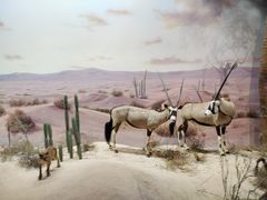 -天津自然博物馆