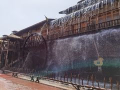 -呀路古热带植物园