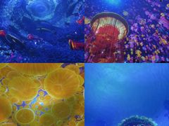 -海合安天津极地海洋公园
