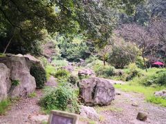 -苏堤停车场