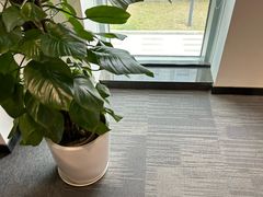 -中国移动南方基地