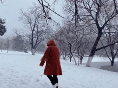 -紫金山山顶公园