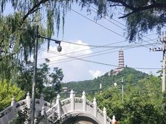 -北坞公园