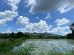 -御霞苑泥烩鸡休闲农庄