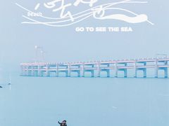 -星海湾跨海大桥