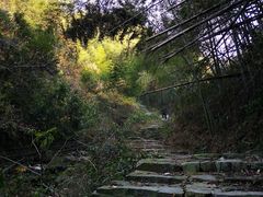 -四明山国家森林公园