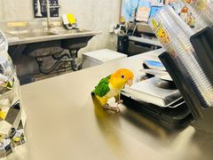 -吾叁·吉趣鸟咖(万科店)