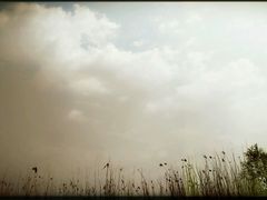 -同里国家湿地公园