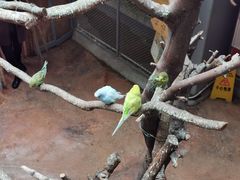 -正佳雨林生态植物园