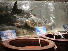 -上名堂·鱼头好吃(体育场路店)