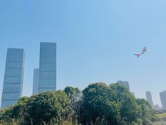 -艾溪湖湿地公园