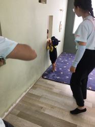 点击看大图 -爱儿美儿童摄影(奥森公园店)
