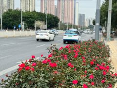 -人民公园(罗湖区)