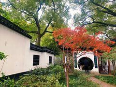 -上海醉白池公园