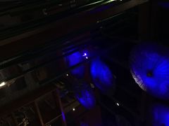 大堂-雀舞·私食(凯德店)
