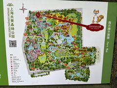 -上海共青森林公园