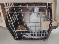 -美联众合动物医院·24h京西诊疗中心