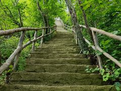 -天女山森林公园