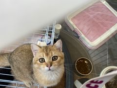 -萌兽医馆·眼科·异宠专科(三里屯店)