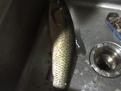 -富华家常菜(富华小区店)