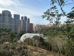 -石排湾郊野公园