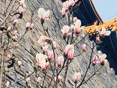-东华门大街小区