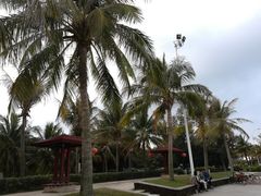 -白沙门生态公园
