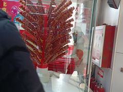 -和禄德冰糖葫芦