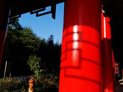 -开福禅寺