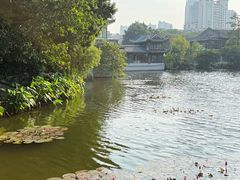 -荔湾湖公园